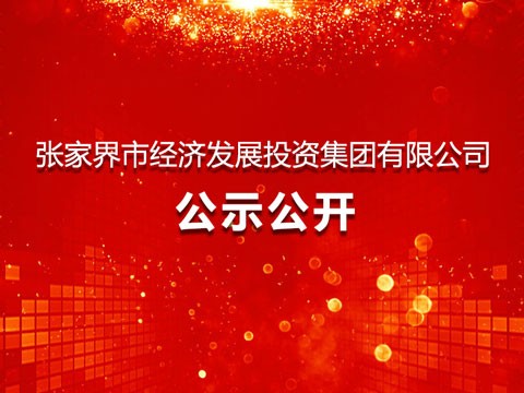 关于公开选聘张家界市经济发展投资集团有限公司经理层副职的通知